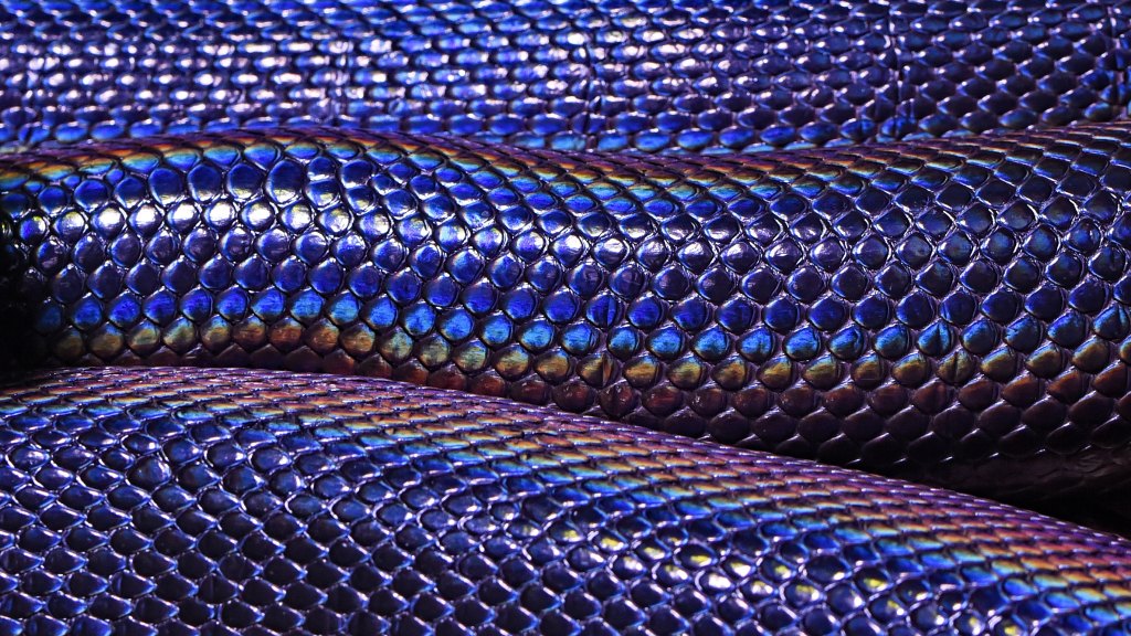 Banner of snakeskin iridescent shine
