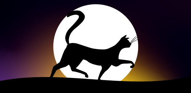 Banner of a black cat at night illustrated by Under The Moonlight
